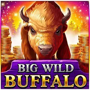 Play Big Wild Buffalo Jokaroom casino